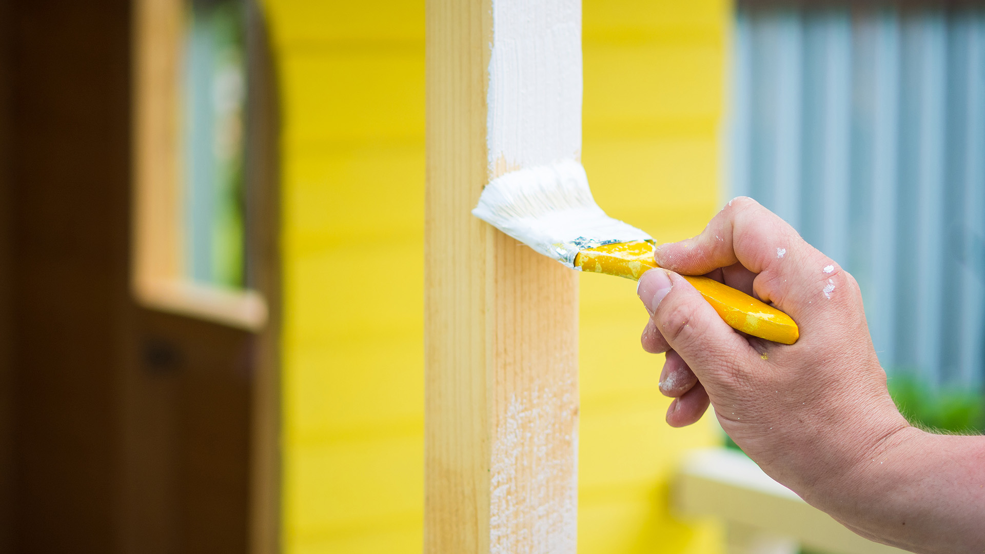 Cat Rumah yang Menghasilkan Oksigen dan Menangkap Karbon Dioksida