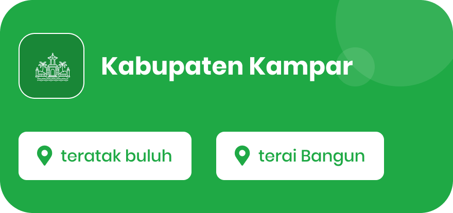 Visual Wilayah Area Cakupan