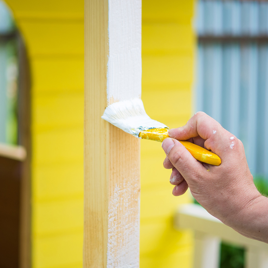 Cat Rumah yang Menghasilkan Oksigen dan Menangkap Karbon Dioksida