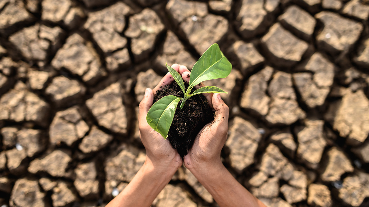 Perubahan Iklim dan 1.5 Derajat Celsius: Kenapa Kita Harus Peduli